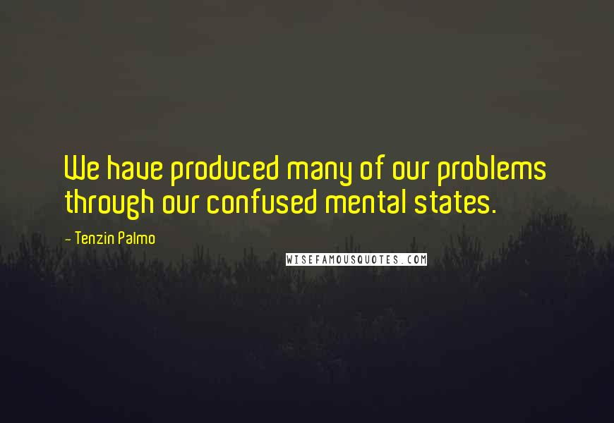 Tenzin Palmo Quotes: We have produced many of our problems through our confused mental states.