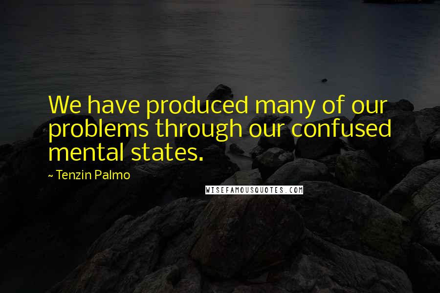 Tenzin Palmo Quotes: We have produced many of our problems through our confused mental states.