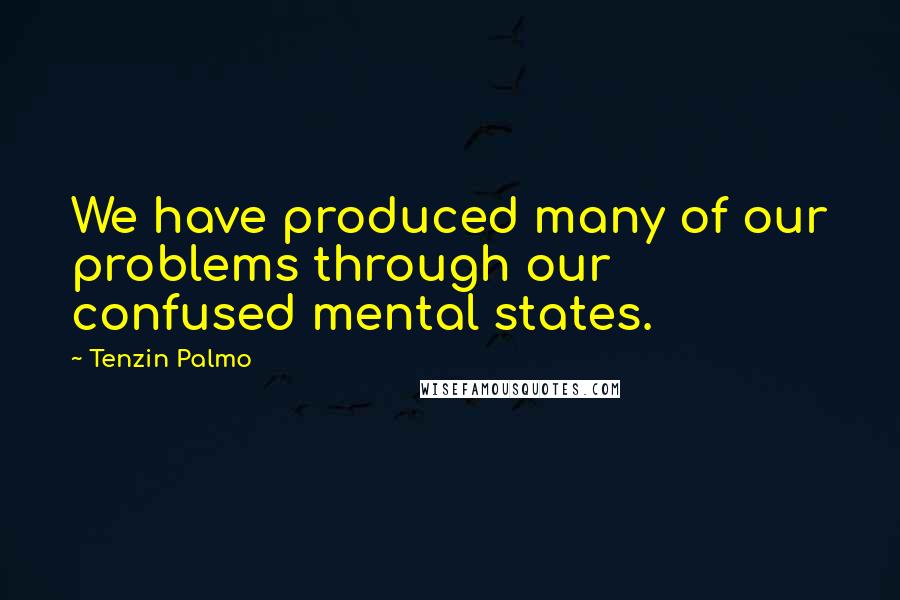 Tenzin Palmo Quotes: We have produced many of our problems through our confused mental states.