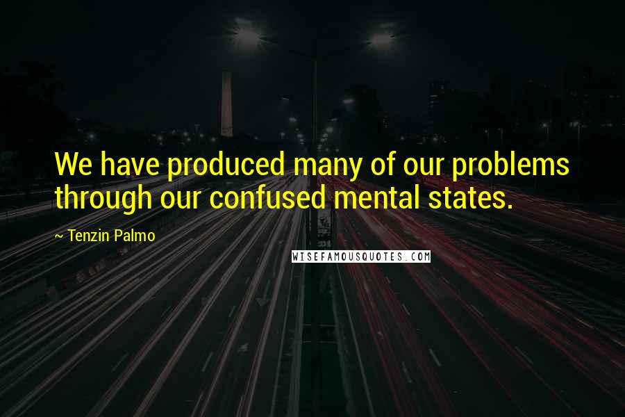 Tenzin Palmo Quotes: We have produced many of our problems through our confused mental states.