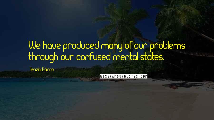 Tenzin Palmo Quotes: We have produced many of our problems through our confused mental states.