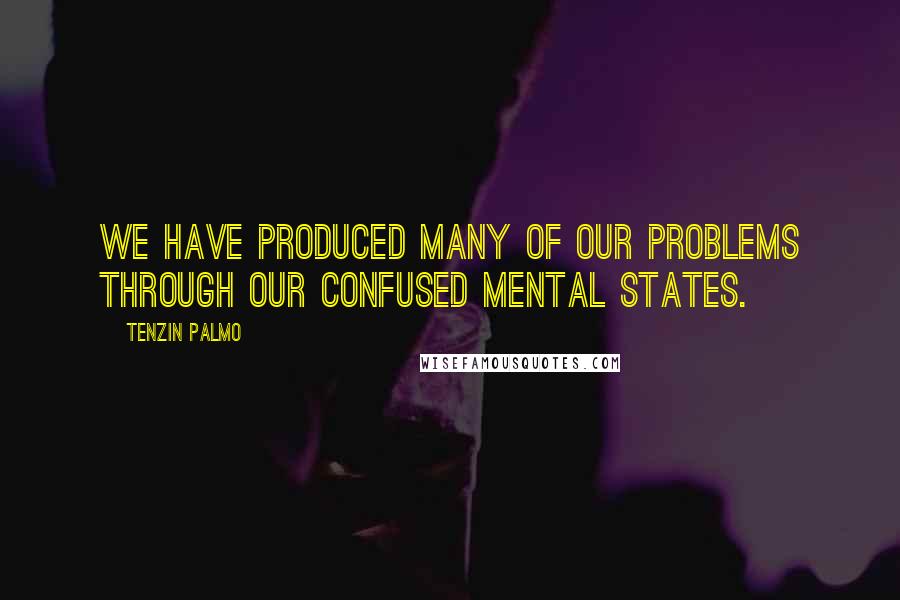 Tenzin Palmo Quotes: We have produced many of our problems through our confused mental states.