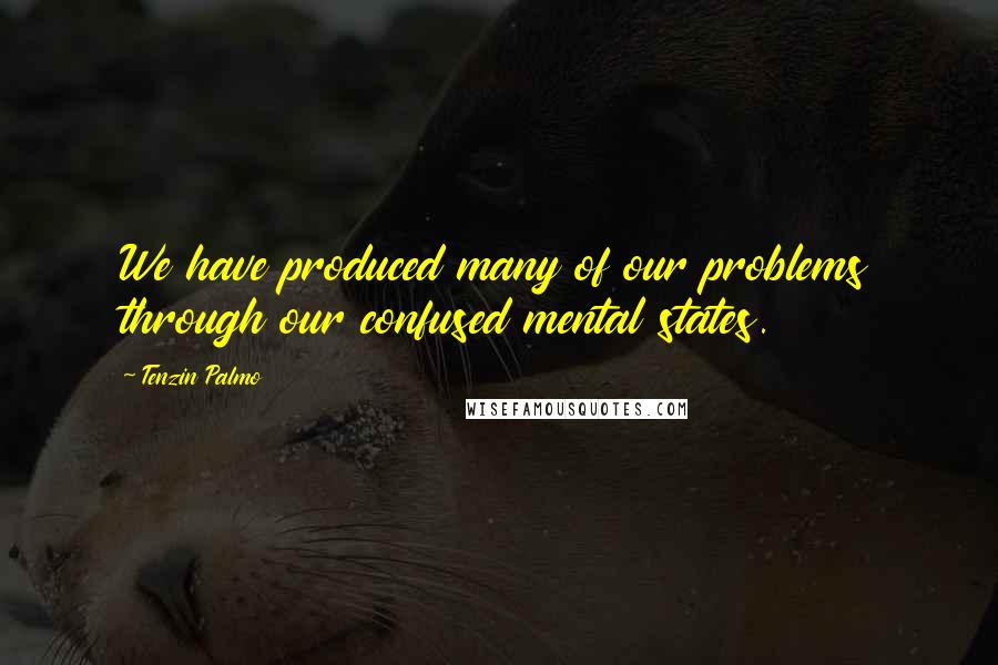 Tenzin Palmo Quotes: We have produced many of our problems through our confused mental states.