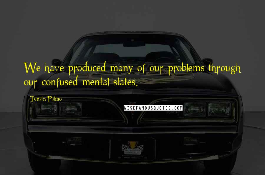 Tenzin Palmo Quotes: We have produced many of our problems through our confused mental states.