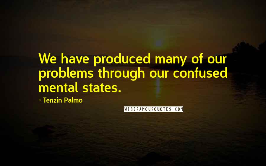 Tenzin Palmo Quotes: We have produced many of our problems through our confused mental states.