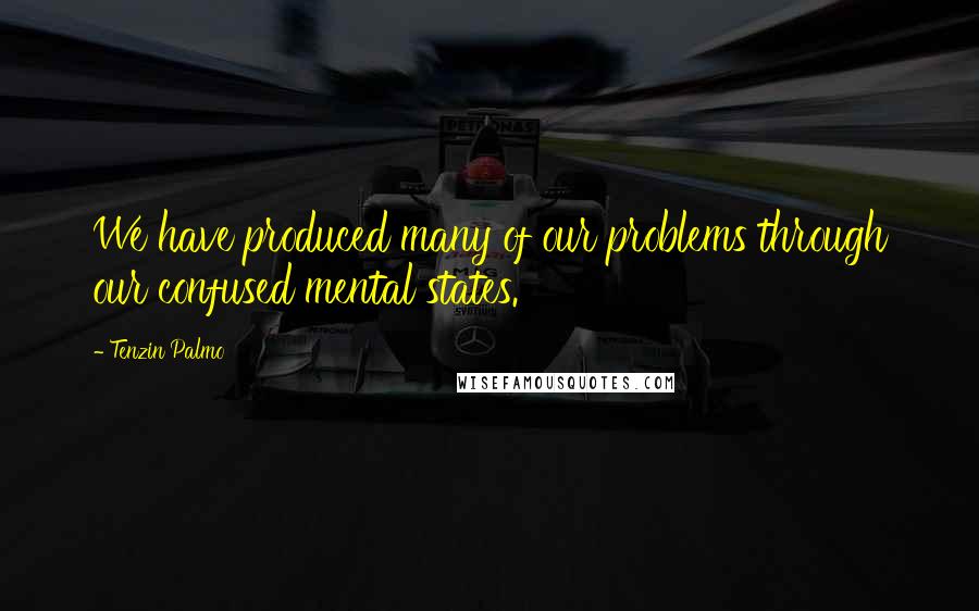 Tenzin Palmo Quotes: We have produced many of our problems through our confused mental states.