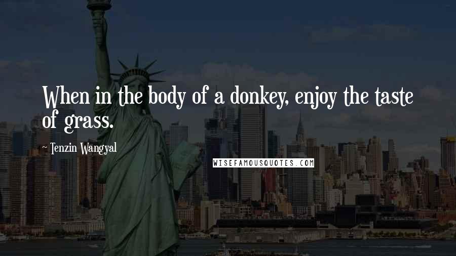 Tenzin Wangyal Quotes: When in the body of a donkey, enjoy the taste of grass.