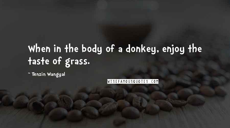 Tenzin Wangyal Quotes: When in the body of a donkey, enjoy the taste of grass.