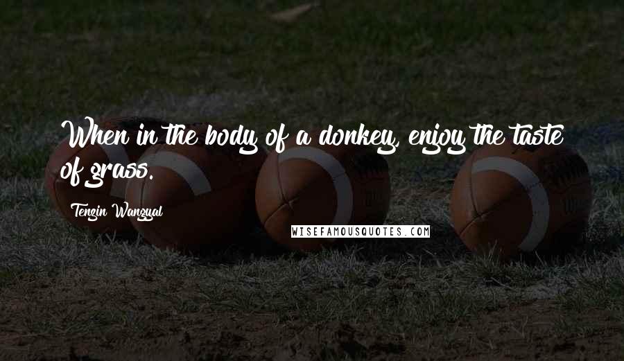 Tenzin Wangyal Quotes: When in the body of a donkey, enjoy the taste of grass.