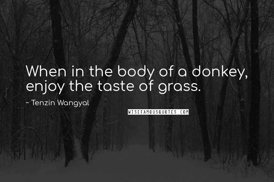 Tenzin Wangyal Quotes: When in the body of a donkey, enjoy the taste of grass.