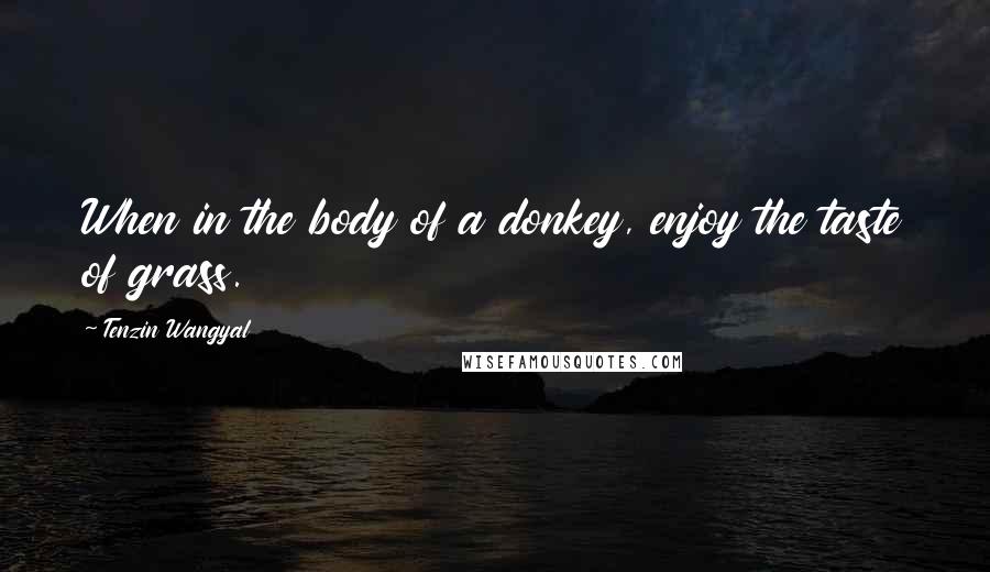 Tenzin Wangyal Quotes: When in the body of a donkey, enjoy the taste of grass.