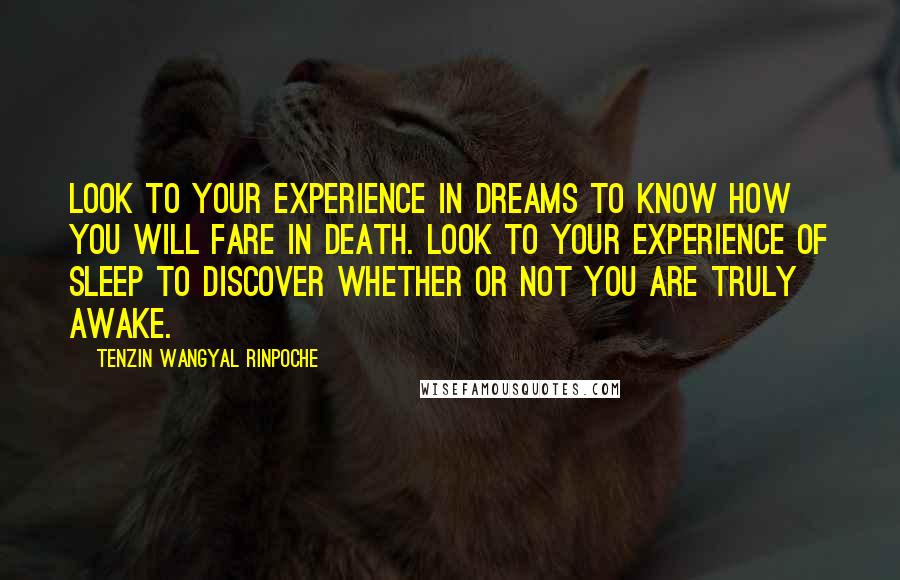 Tenzin Wangyal Rinpoche Quotes: Look to your experience in dreams to know how you will fare in death. Look to your experience of sleep to discover whether or not you are truly awake.