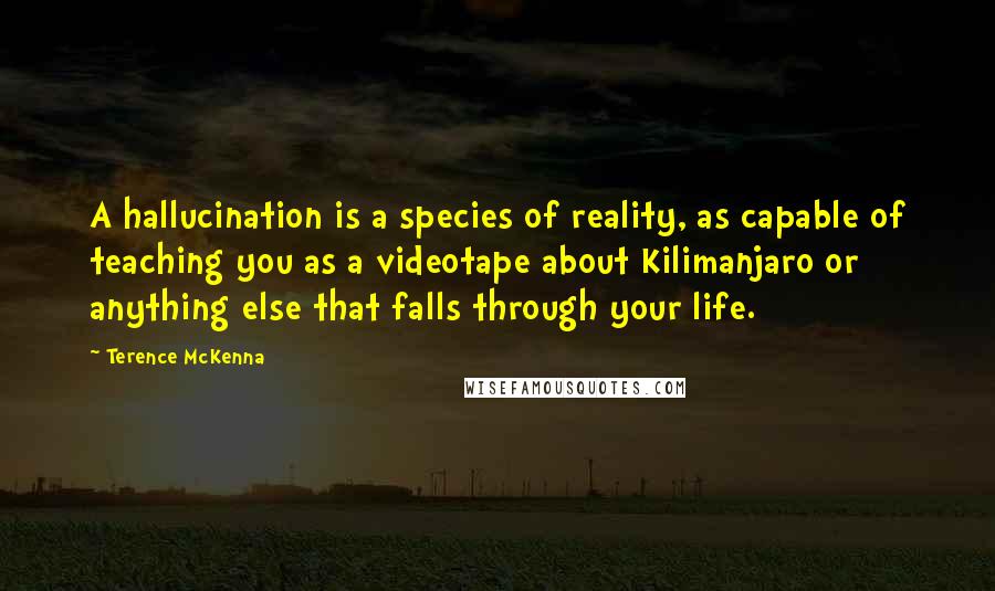 Terence McKenna Quotes: A hallucination is a species of reality, as capable of teaching you as a videotape about Kilimanjaro or anything else that falls through your life.