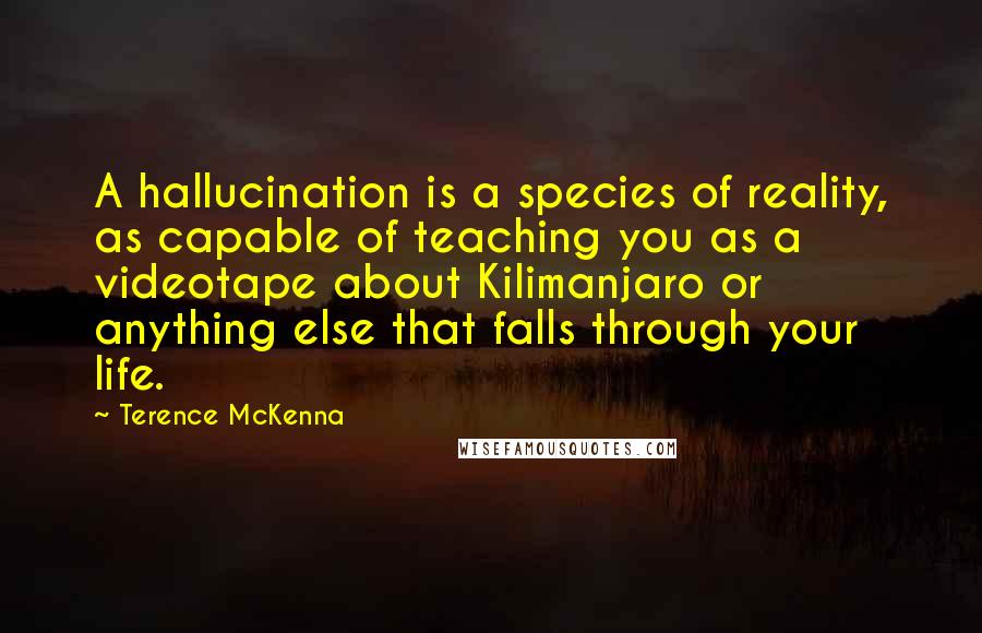 Terence McKenna Quotes: A hallucination is a species of reality, as capable of teaching you as a videotape about Kilimanjaro or anything else that falls through your life.