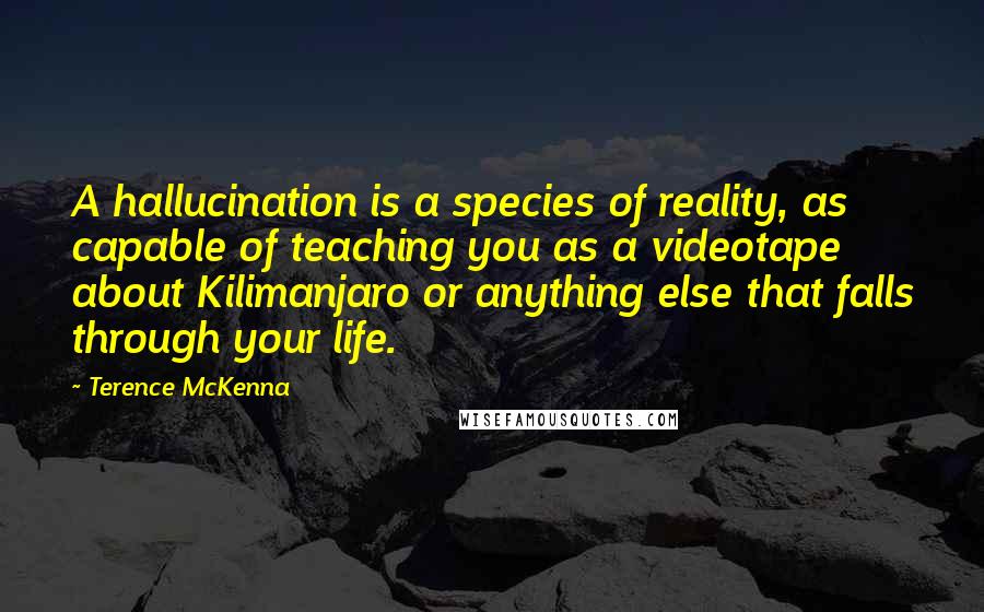 Terence McKenna Quotes: A hallucination is a species of reality, as capable of teaching you as a videotape about Kilimanjaro or anything else that falls through your life.