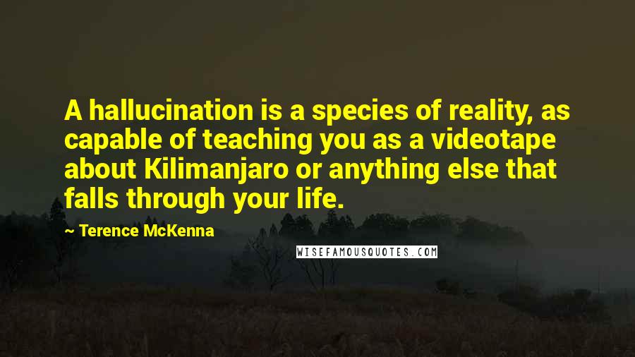 Terence McKenna Quotes: A hallucination is a species of reality, as capable of teaching you as a videotape about Kilimanjaro or anything else that falls through your life.