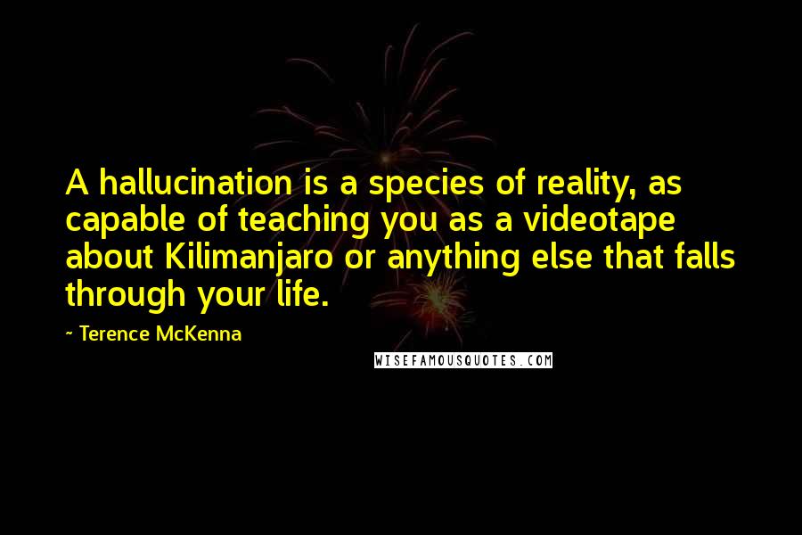 Terence McKenna Quotes: A hallucination is a species of reality, as capable of teaching you as a videotape about Kilimanjaro or anything else that falls through your life.