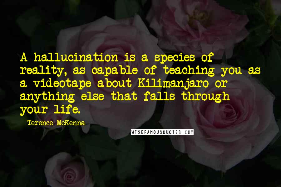 Terence McKenna Quotes: A hallucination is a species of reality, as capable of teaching you as a videotape about Kilimanjaro or anything else that falls through your life.