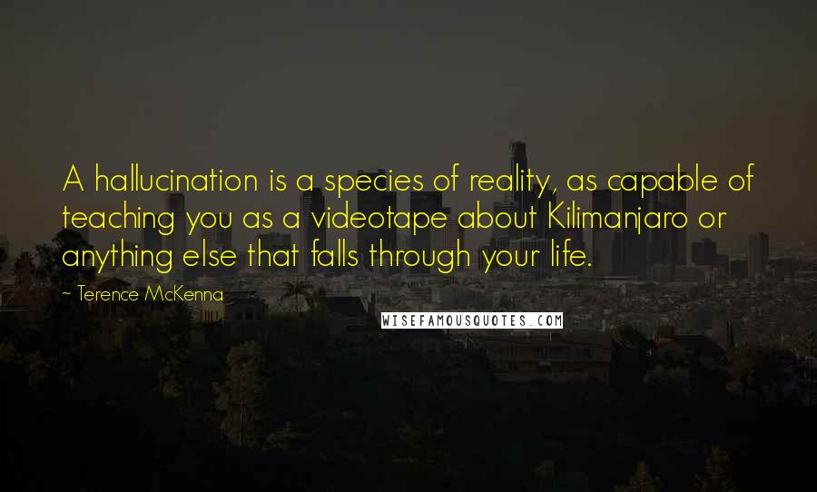 Terence McKenna Quotes: A hallucination is a species of reality, as capable of teaching you as a videotape about Kilimanjaro or anything else that falls through your life.
