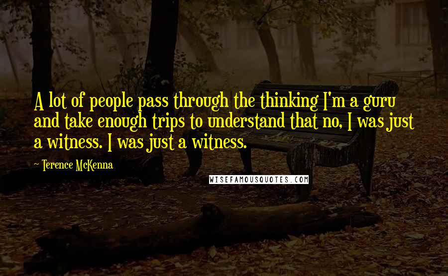 Terence McKenna Quotes: A lot of people pass through the thinking I'm a guru and take enough trips to understand that no, I was just a witness. I was just a witness.