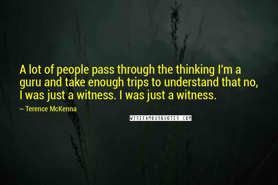 Terence McKenna Quotes: A lot of people pass through the thinking I'm a guru and take enough trips to understand that no, I was just a witness. I was just a witness.