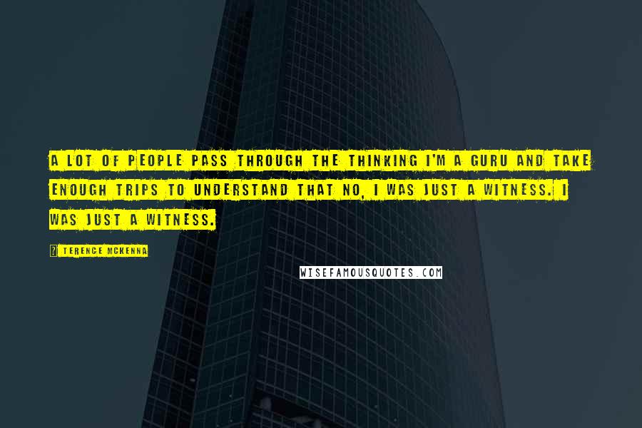 Terence McKenna Quotes: A lot of people pass through the thinking I'm a guru and take enough trips to understand that no, I was just a witness. I was just a witness.