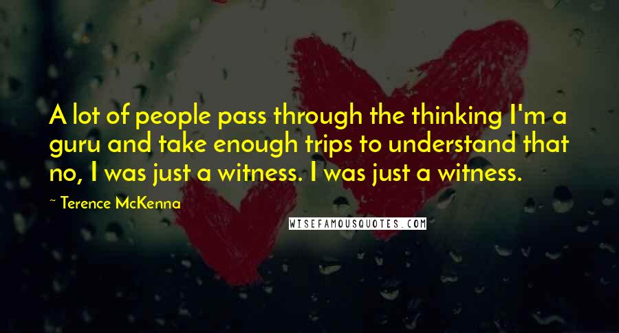 Terence McKenna Quotes: A lot of people pass through the thinking I'm a guru and take enough trips to understand that no, I was just a witness. I was just a witness.