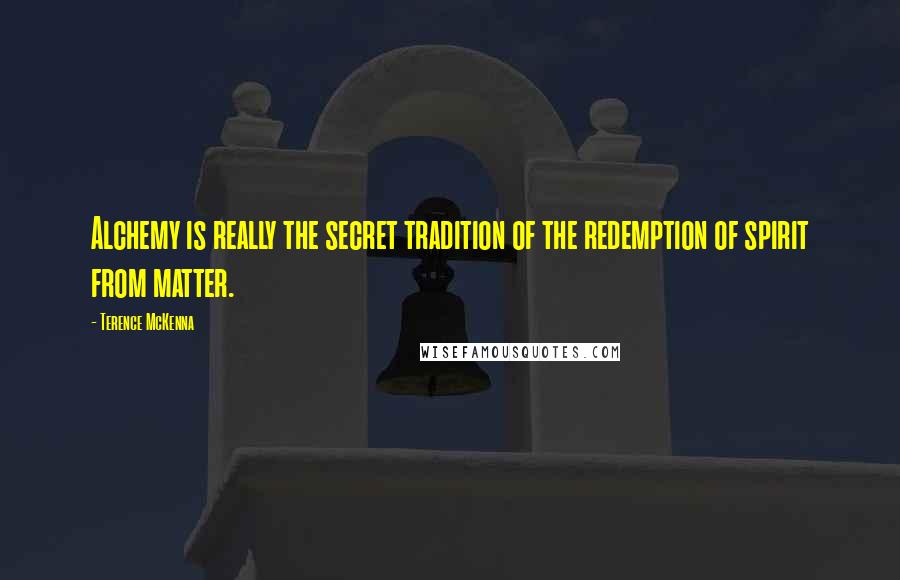 Terence McKenna Quotes: Alchemy is really the secret tradition of the redemption of spirit from matter.