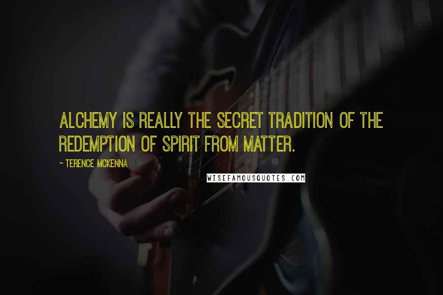 Terence McKenna Quotes: Alchemy is really the secret tradition of the redemption of spirit from matter.