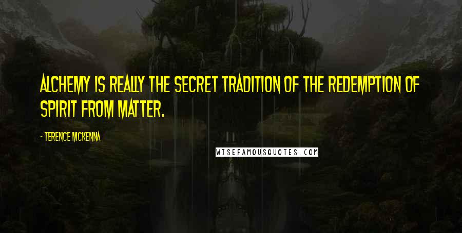 Terence McKenna Quotes: Alchemy is really the secret tradition of the redemption of spirit from matter.