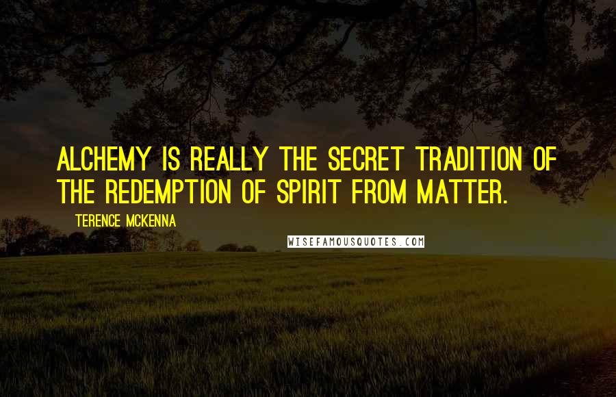 Terence McKenna Quotes: Alchemy is really the secret tradition of the redemption of spirit from matter.