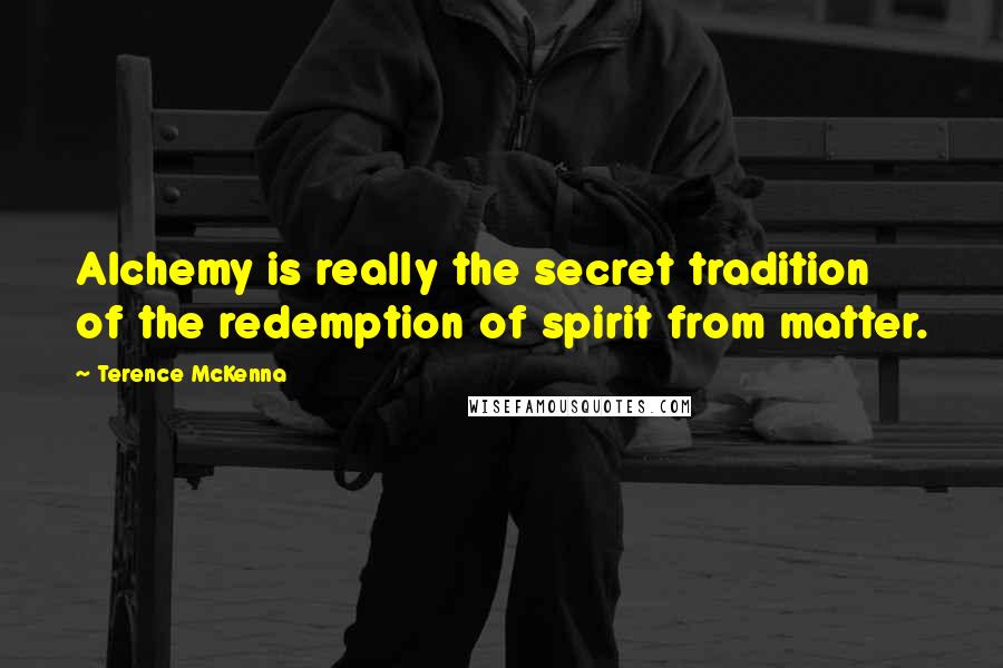 Terence McKenna Quotes: Alchemy is really the secret tradition of the redemption of spirit from matter.