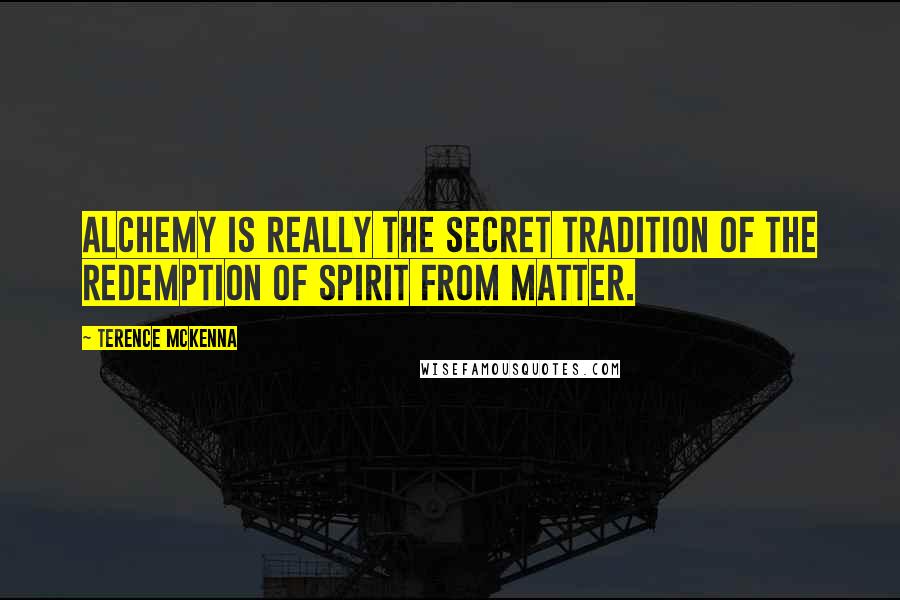 Terence McKenna Quotes: Alchemy is really the secret tradition of the redemption of spirit from matter.