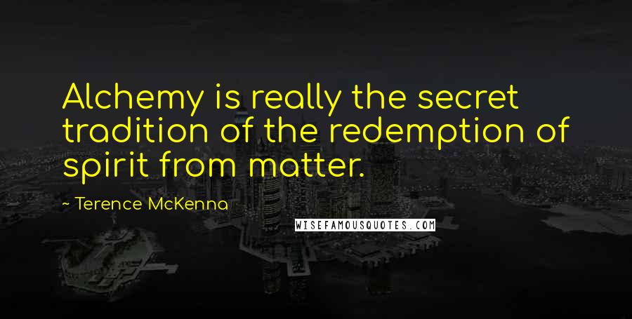 Terence McKenna Quotes: Alchemy is really the secret tradition of the redemption of spirit from matter.