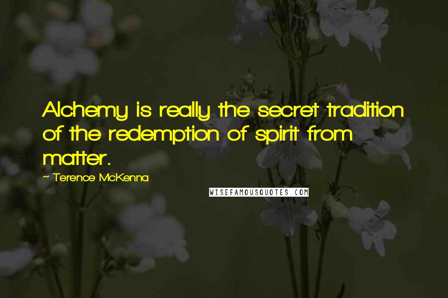 Terence McKenna Quotes: Alchemy is really the secret tradition of the redemption of spirit from matter.