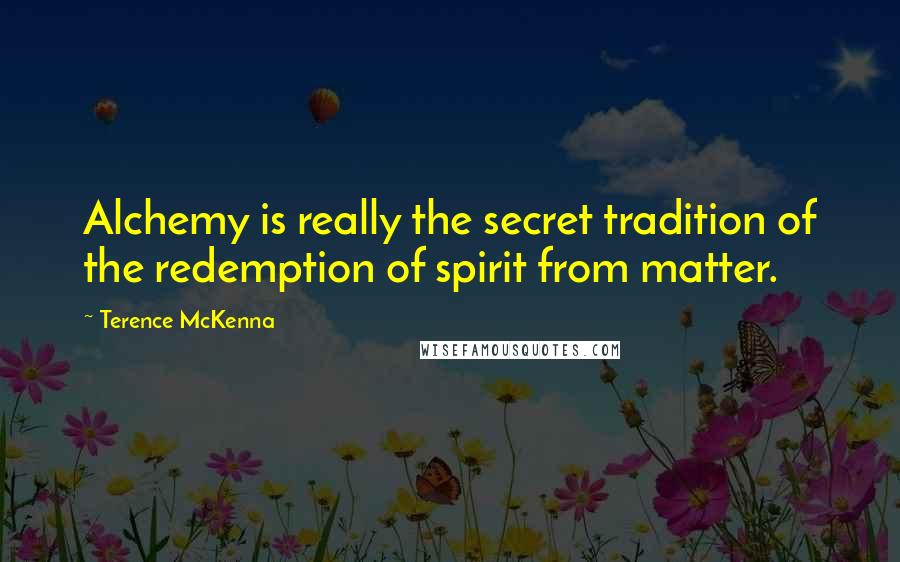 Terence McKenna Quotes: Alchemy is really the secret tradition of the redemption of spirit from matter.