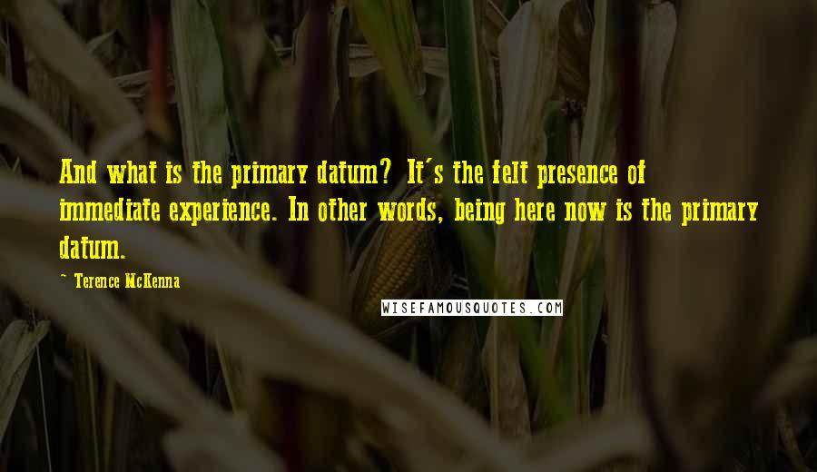 Terence McKenna Quotes: And what is the primary datum? It's the felt presence of immediate experience. In other words, being here now is the primary datum.