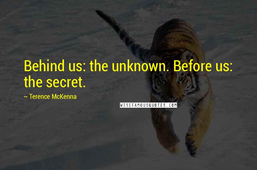Terence McKenna Quotes: Behind us: the unknown. Before us: the secret.