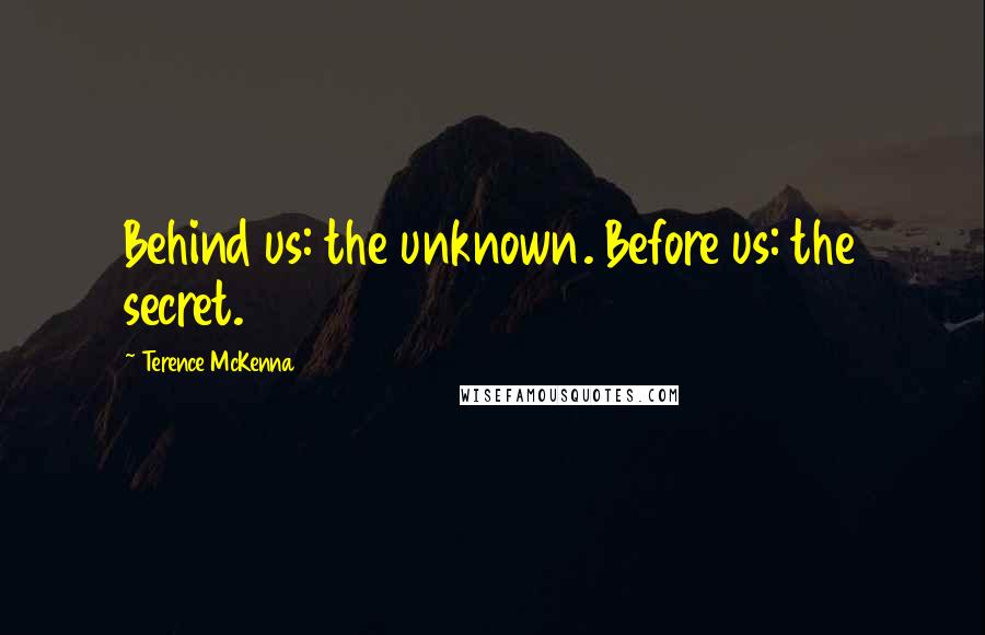 Terence McKenna Quotes: Behind us: the unknown. Before us: the secret.