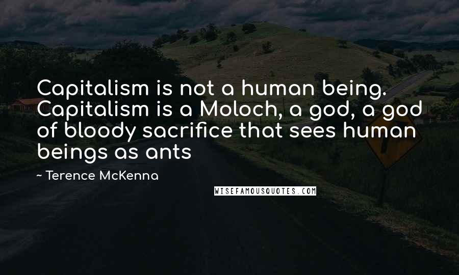 Terence McKenna Quotes: Capitalism is not a human being. Capitalism is a Moloch, a god, a god of bloody sacrifice that sees human beings as ants