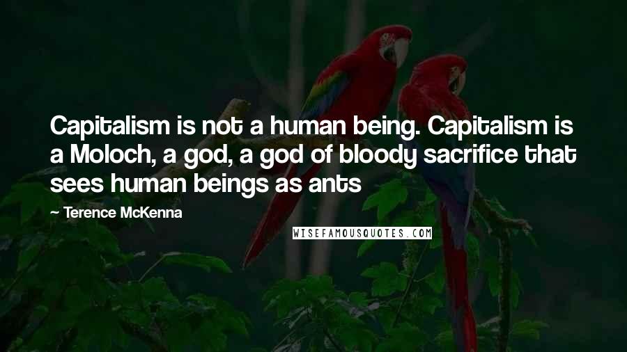 Terence McKenna Quotes: Capitalism is not a human being. Capitalism is a Moloch, a god, a god of bloody sacrifice that sees human beings as ants