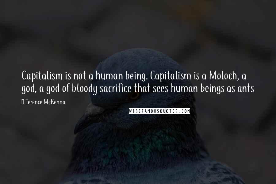Terence McKenna Quotes: Capitalism is not a human being. Capitalism is a Moloch, a god, a god of bloody sacrifice that sees human beings as ants