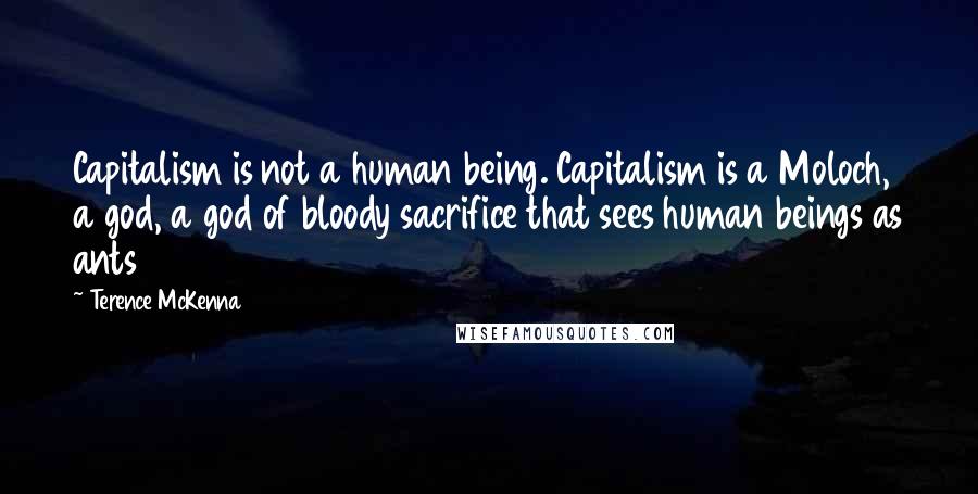 Terence McKenna Quotes: Capitalism is not a human being. Capitalism is a Moloch, a god, a god of bloody sacrifice that sees human beings as ants