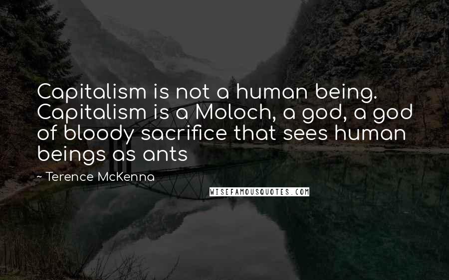 Terence McKenna Quotes: Capitalism is not a human being. Capitalism is a Moloch, a god, a god of bloody sacrifice that sees human beings as ants