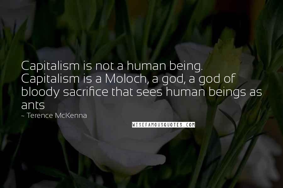 Terence McKenna Quotes: Capitalism is not a human being. Capitalism is a Moloch, a god, a god of bloody sacrifice that sees human beings as ants