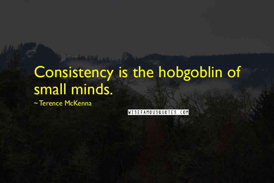 Terence McKenna Quotes: Consistency is the hobgoblin of small minds.