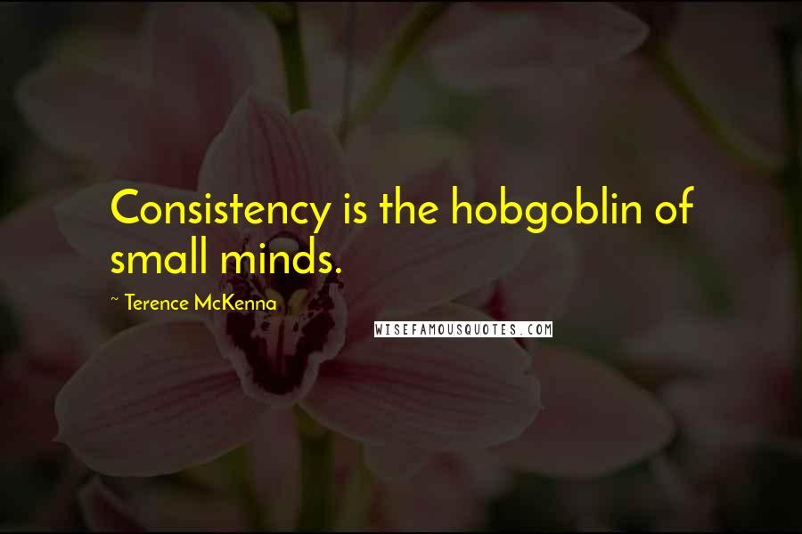 Terence McKenna Quotes: Consistency is the hobgoblin of small minds.