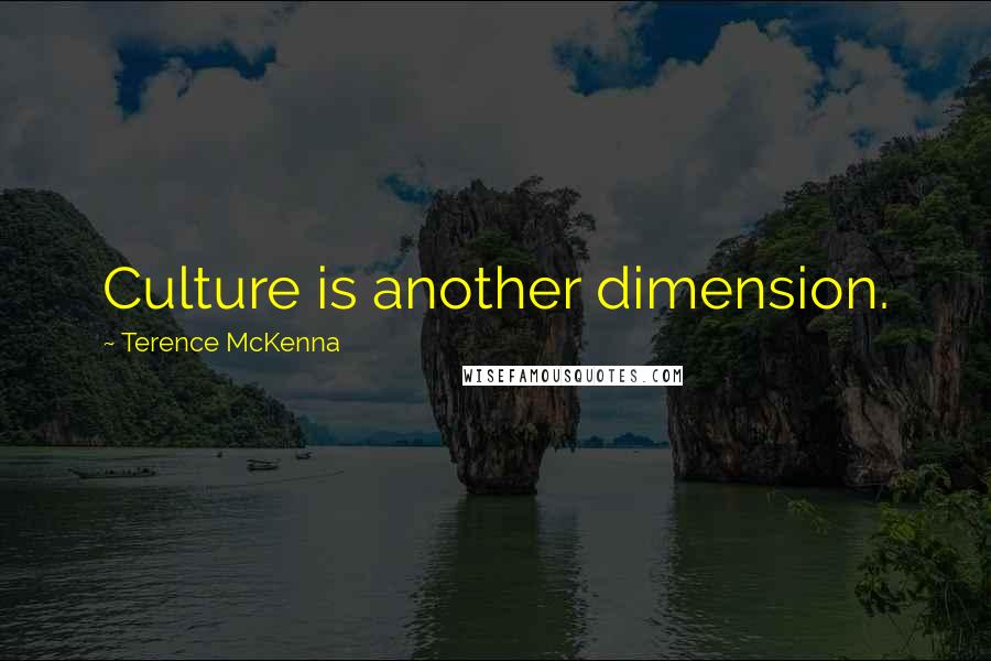 Terence McKenna Quotes: Culture is another dimension.