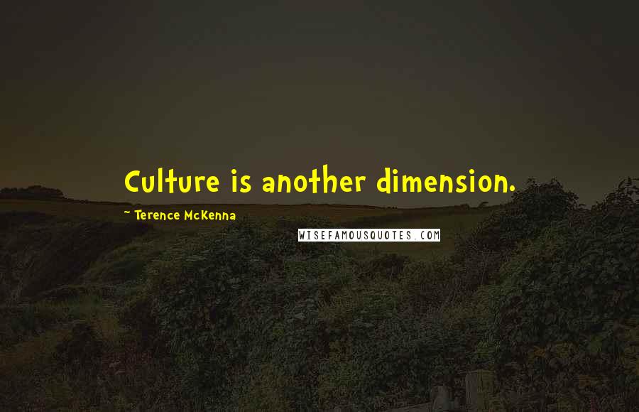 Terence McKenna Quotes: Culture is another dimension.