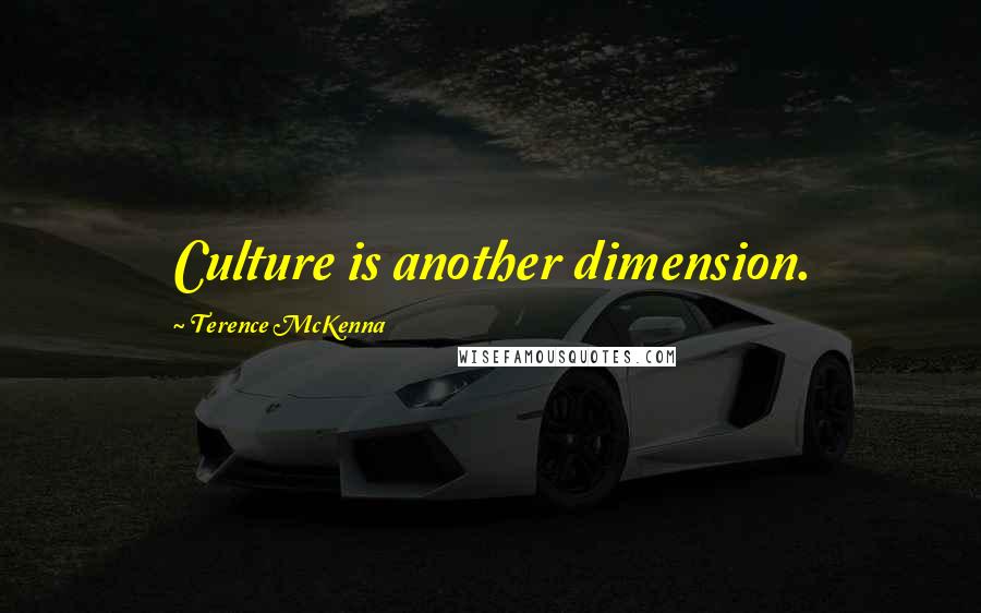 Terence McKenna Quotes: Culture is another dimension.